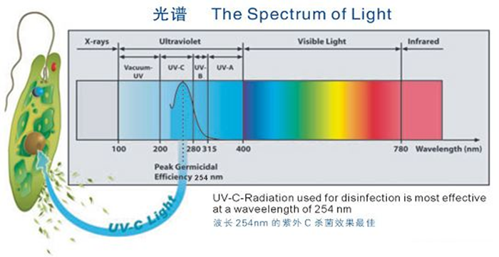 科普！紫外線殺菌燈對人體影響及正確使用方法